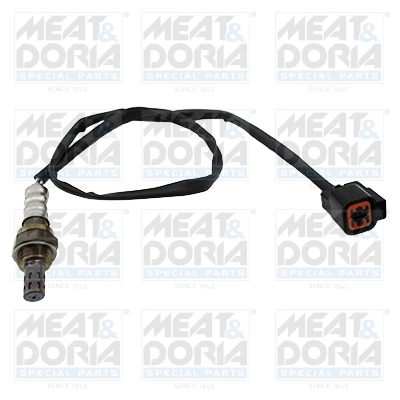 Oxygen Sensor